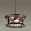 Миниатюра фото уличный подвесной светильник odeon light mavret 4961/2 | 220svet.ru