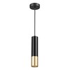Миниатюра фото подвесной светильник odeon light corse 3876/1l | 220svet.ru