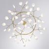 Миниатюра фото подвесная люстра arte lamp candy a7272sp-45go | 220svet.ru