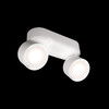Миниатюра фото накладной светильник loft it focus 10323/2a white | 220svet.ru