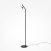 Миниатюра фото торшер maytoni vita mod451fl-l8b3k | 220svet.ru