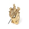 Миниатюра фото ваза love in bloom gold seletti | 220svet.ru