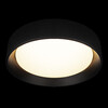 Миниатюра фото потолочный светильник  loft it coin 10202 bb | 220svet.ru
