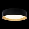 Миниатюра фото потолочный светильник loft it coin 10202 black | 220svet.ru