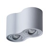 Миниатюра фото потолочный светильник arte lamp falcon a5645pl-2gy | 220svet.ru