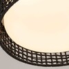 Миниатюра фото потолочный светильник f-promo 4750-4c | 220svet.ru