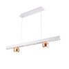 Миниатюра фото подвесная светодиодная люстра ambrella light comfort linetech fl5955 | 220svet.ru
