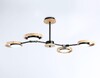 Миниатюра фото потолочная светодиодная люстра ambrella light comfort linetech fl51611 | 220svet.ru