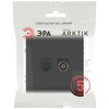 Миниатюра фото розетка эра arktik 16-3110-05 комбинированная rj45+tv антрацит б0070498 | 220svet.ru