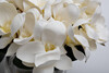 Миниатюра фото диффузор magnolia white , спрей winter in chatou 2*10ml garda decor 96cn-rg0005 | 220svet.ru