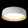 Миниатюра фото потолочный светильник loft it coin 10202 white | 220svet.ru