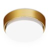 Миниатюра фото встраиваемый светильник ambrella light led downlight g102 gd | 220svet.ru