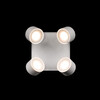 Миниатюра фото накладной светильник loft it case 10326 white | 220svet.ru