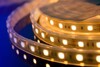 Миниатюра фото влагозащищенная лента designled 14,4w/m 60led/m 5050smd теплый белый 5m 000519 | 220svet.ru