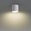 Миниатюра фото потолочный светильник odeon light oben 7130/8cl белый | 220svet.ru