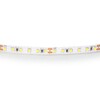 Миниатюра фото светодиодная лента холодный белый lightstar 12w/m 120led/m 5m 420805 | 220svet.ru