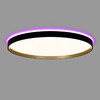 Миниатюра фото накладной светодиодный светильник с пультом ду rgb citilux etalon cl750501r | 220svet.ru