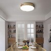 Миниатюра фото потолочный светодиодный светильник imperium loft range 195543-26 | 220svet.ru