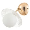 Миниатюра фото бра rivoli jacqueline 3169-401 б0066444 | 220svet.ru