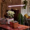 Миниатюра фото настенный светодиодный светильник для растений uniel uli-p33-24w/splx ip40 white ul-00010526 | 220svet.ru