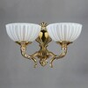Миниатюра фото бра ambiente valencia 02227/2 wp | 220svet.ru
