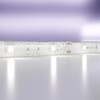Миниатюра фото светодиодная влагозащищенная лента maytoni technical 7,2w/m 30led/m 5050smd холодный белый 5m 10125 | 220svet.ru