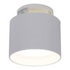 Миниатюра фото потолочный светильник reluce 53006-9.5-001il gx53+led3w wt | 220svet.ru