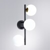 Миниатюра фото настенный светильник arte lamp gemini a2243pl-3bk | 220svet.ru