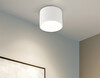 Миниатюра фото накладной светильник ambrella light gx standard tech tn52881 | 220svet.ru