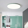 Миниатюра фото потолочный светодиодный светильник imperium loft disc 193124-26 | 220svet.ru