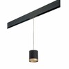 Миниатюра фото трековый однофазный светильник lightstar rullo (213487+595887+203490)prorp348790 | 220svet.ru