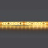 Миниатюра фото светодиодная влагозащищенная лента теплый белый lightstar 12w/m 120led/m 5m 420853 | 220svet.ru