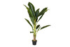 Миниатюра фото банановый garda decor 29bj-803-17 | 220svet.ru