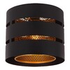 Миниатюра фото потолочный светильник lucide rosas 21133/01/30 | 220svet.ru