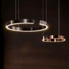 Миниатюра фото подвесная люстра alfa light f0424-10 | 220svet.ru
