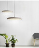 Миниатюра фото подвесной светильник inodesign plate 40.1325 | 220svet.ru