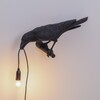 Миниатюра фото настенный светильник bird black looking left seletti | 220svet.ru