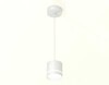 Миниатюра фото комплект подвесного светильника ambrella light techno spot xp (a2331, c8110, n8461) xp8110023 | 220svet.ru