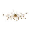 Миниатюра фото потолочный светильник freya celebrity fr5242cl-24bs | 220svet.ru