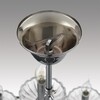 Миниатюра фото подвесная люстра lumion lolina 8155/9 хром | 220svet.ru