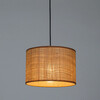 Миниатюра фото подвесной светильник arte lamp straw a7090sp-1bk | 220svet.ru