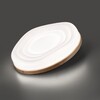 Миниатюра фото настенно-потолочный светильник sonex fass wood 7674/el белый | 220svet.ru