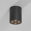 Миниатюра фото потолочный светильник elektrostandard 25111/led a067484 | 220svet.ru