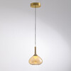 Миниатюра фото подвесной светильник delight collection md25001005-1a brass/amber | 220svet.ru