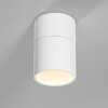 Миниатюра фото потолочный светильник elektrostandard 25112/led a067486 | 220svet.ru