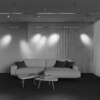 Миниатюра фото трековый магнитный светодиодный светильник maytoni focus led flarity tr144-1-5w3k-w-pt | 220svet.ru