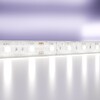 Миниатюра фото светодиодная лента maytoni led strip  24в 10173 | 220svet.ru