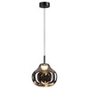 Миниатюра фото подвесной светильник светодиодный odeon light vaso 5097/4lc черный | 220svet.ru