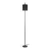 Миниатюра фото торшер loft it ritz 10253f/a black | 220svet.ru