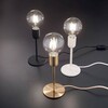 Миниатюра фото настольная лампа ideal lux microphone tl1 ottone | 220svet.ru